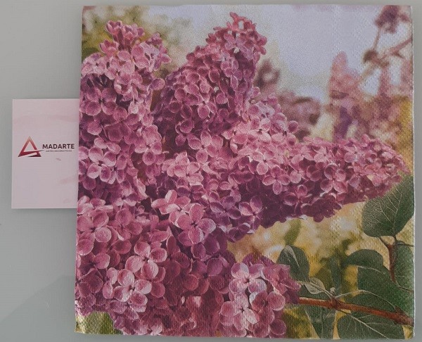 WhatsApp Image 2020-02-27 at 09.48.25 (1)