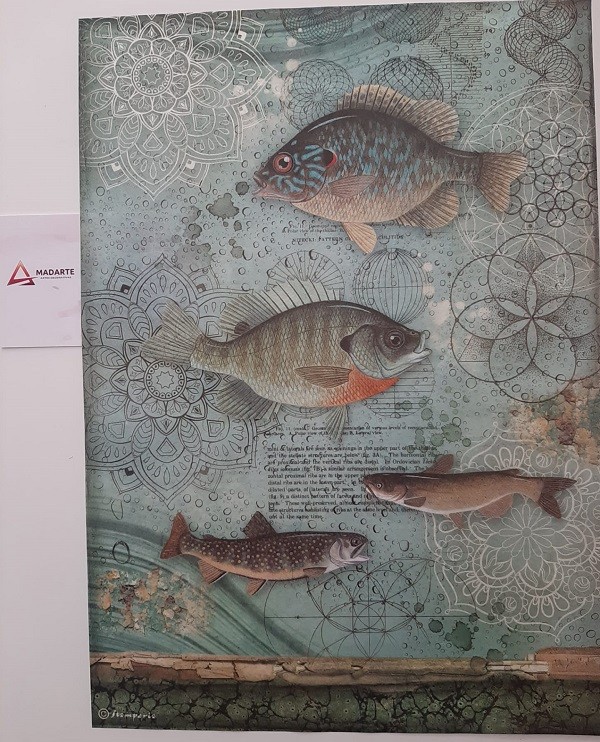 WhatsApp Image 2020-04-03 at 16.16.49